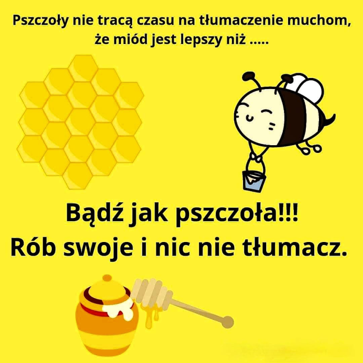 pszczolka.png