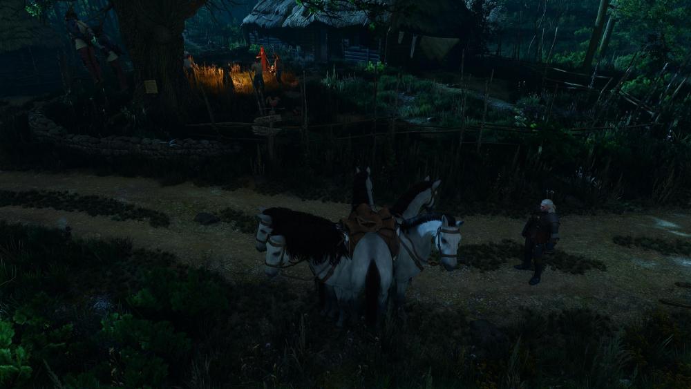 witcher3_2026_09_30_16_56_40_996.thumb.jpg.1fa89b465f478af1154b11ed01d88a78.jpg