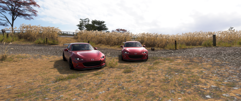 Forza Horizon 6 Screenshot 2026.10.20 - 17.29.52.47.png