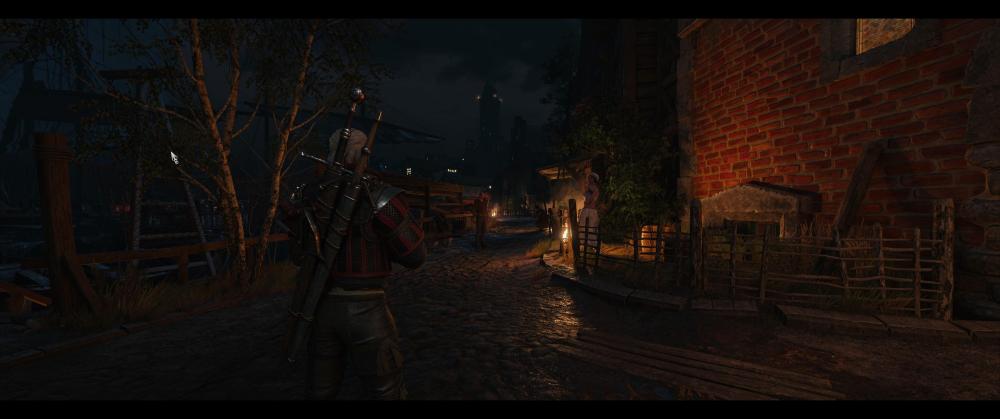 witcher3 2026-10-09 13-40-26_364.jpg