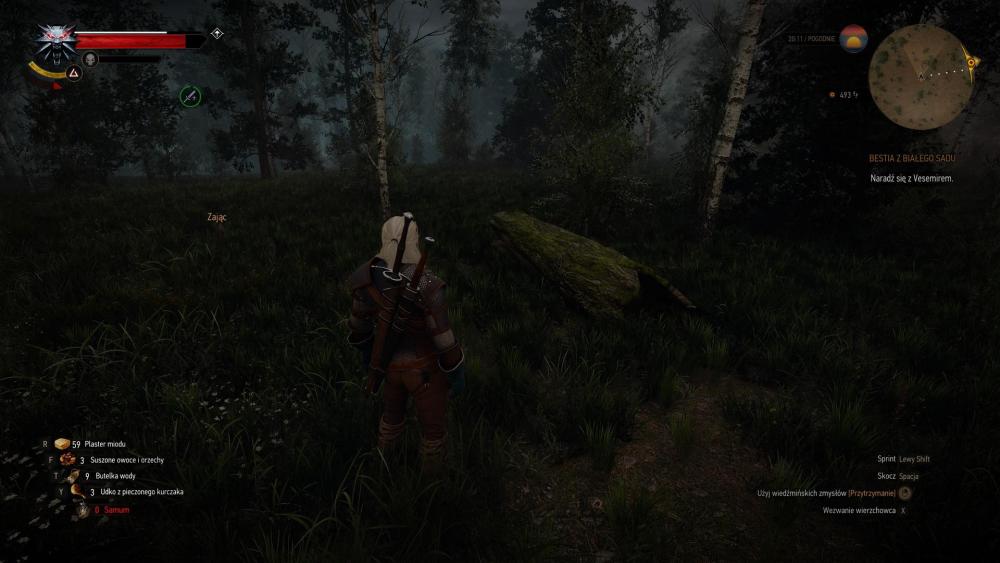 witcher3_2026_10_02_17_22_23_342a.thumb.jpg.3ec693337ac2ea39f728f451771f858a.jpg