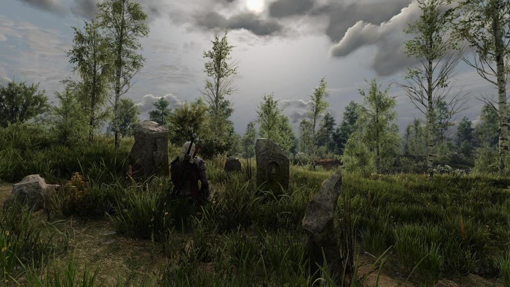 witcher3_2026_10_02_20_48_25_966.thumb.jpg.4430f9b72653a048cfdef91f32795ad6.jpg