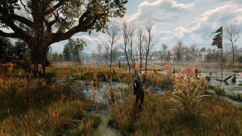 witcher3_2026_10_04_21_21_42_307.thumb.jpg.40807aa8904d281ff255e77308edad58.jpg