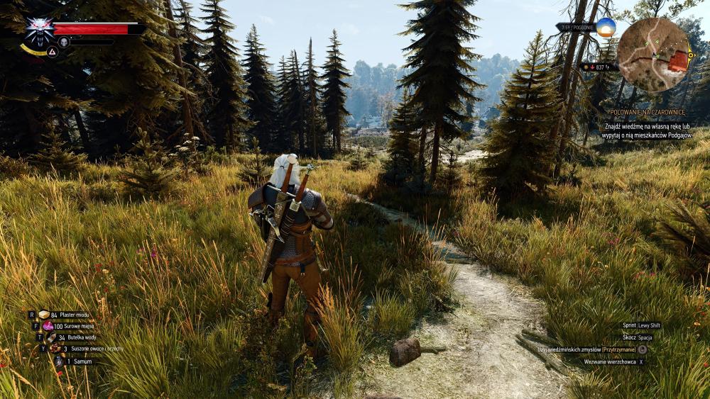 witcher3_2026_10_04_22_17_14_338.thumb.jpg.09ab2d966ac96261fff35d2f8d4a62eb.jpg