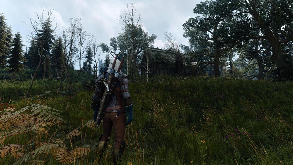 witcher3_2026_10_04_22_29_03_180.thumb.jpg.79e85c7ee0052805cc48b43d1eef2702.jpg