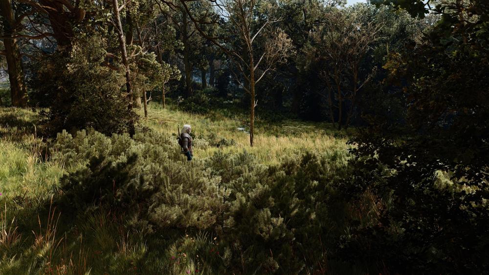witcher3_2026_10_04_22_43_23_462.thumb.jpg.ff9a4a67cca6b0aee1b998d354233952.jpg