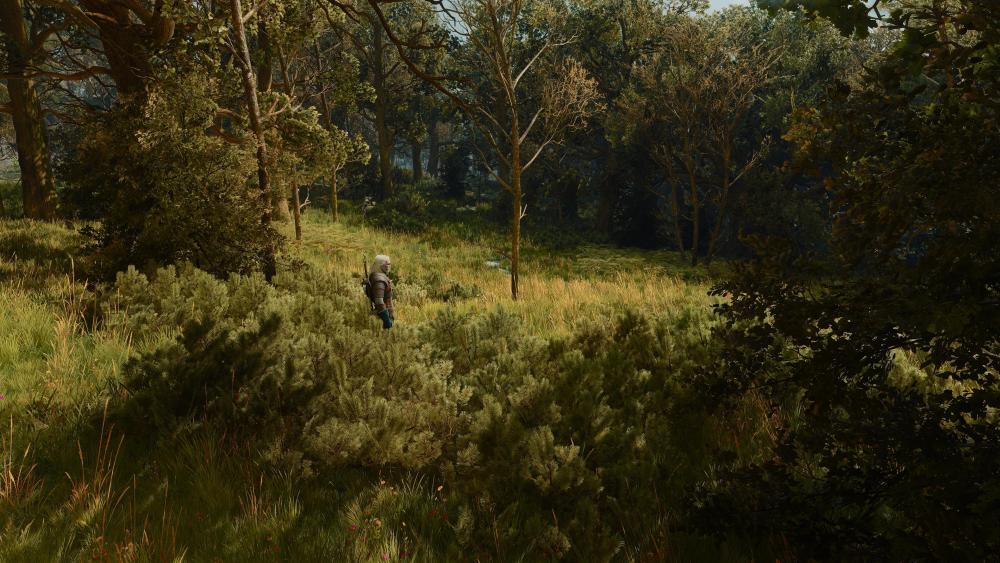 witcher3_2026_10_04_22_43_24_784.thumb.jpg.ab4b808e138f52f6e967c2b83e7bbfdf.jpg