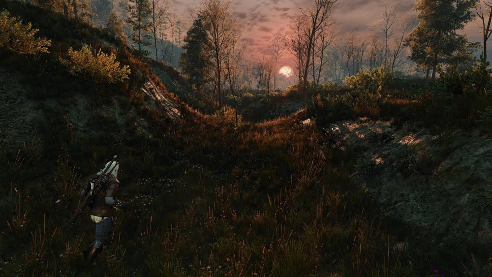 witcher3_2026_10_05_22_44_42_069.thumb.jpg.29bef9a88dd829596fa31f0d0b73dbd8.jpg
