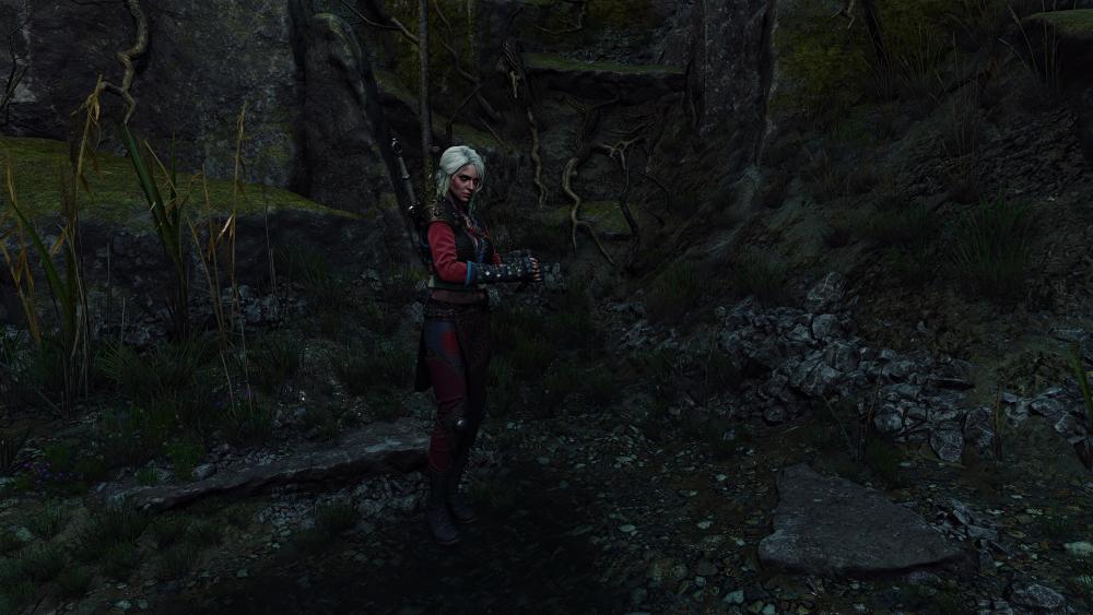 witcher3_2026_10_06_09_27_35_748.thumb.jpg.e17c0902adfef6544d63eb0a96004ef6.jpg